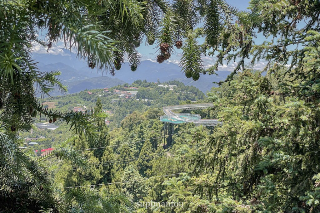 清境農場怎麼玩？清境高空景觀步道