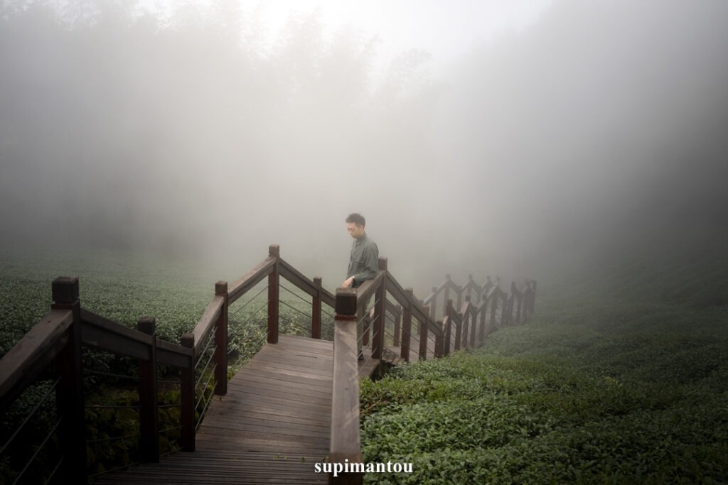 頂石棹霞之道茶園