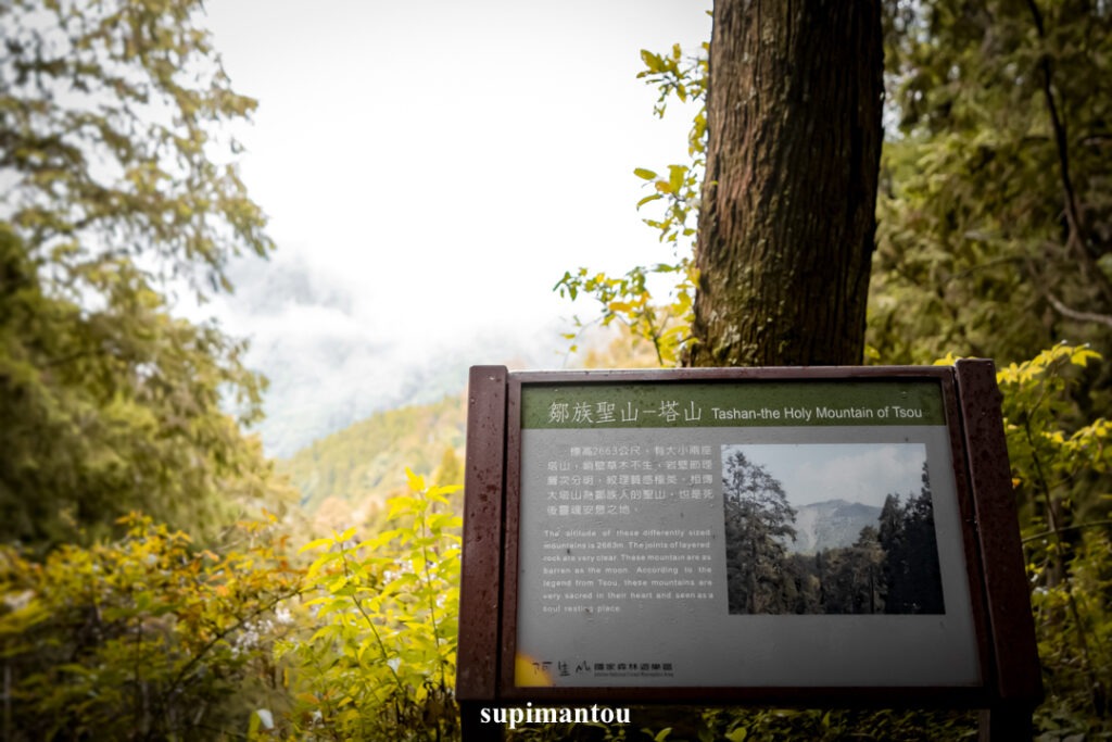 眺望塔山