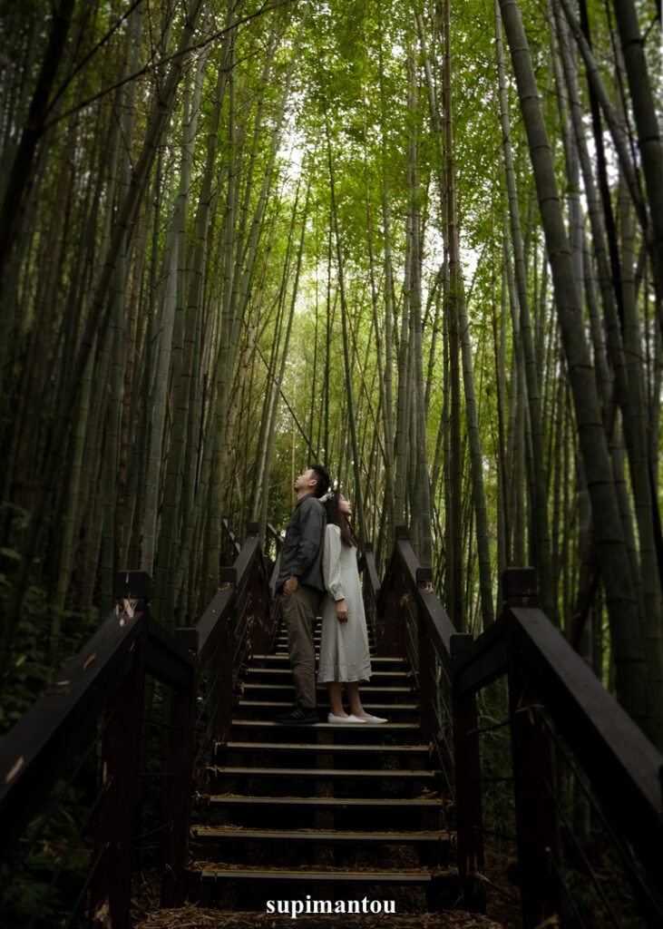 頂石棹霞之道竹林